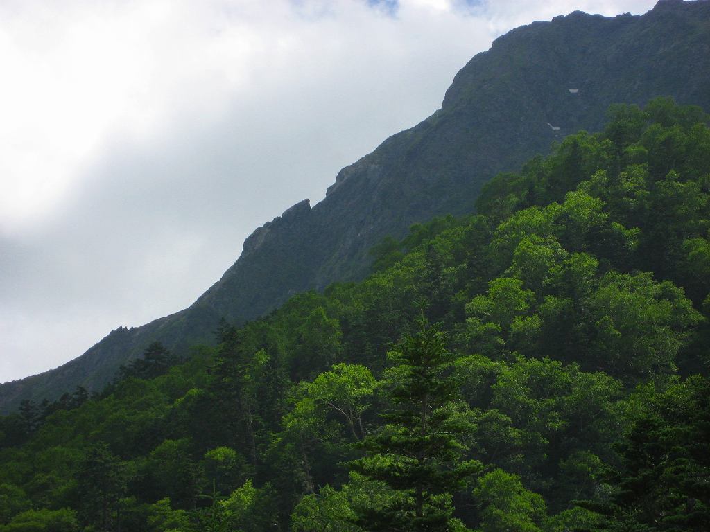 �����������̎R�����L�T