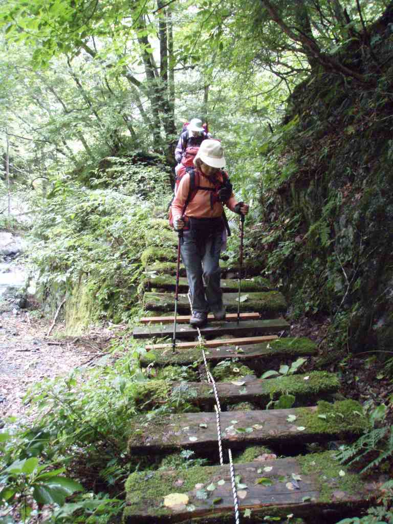 �����������̎R�����L�T