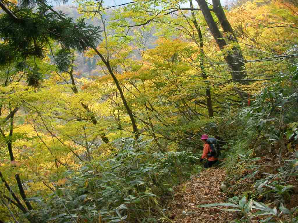 �����������̎R�����L�T