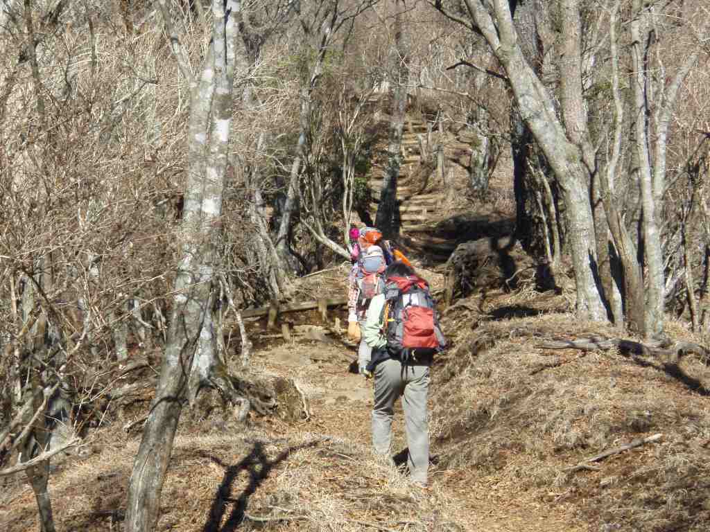 �����������̎R�����L�T