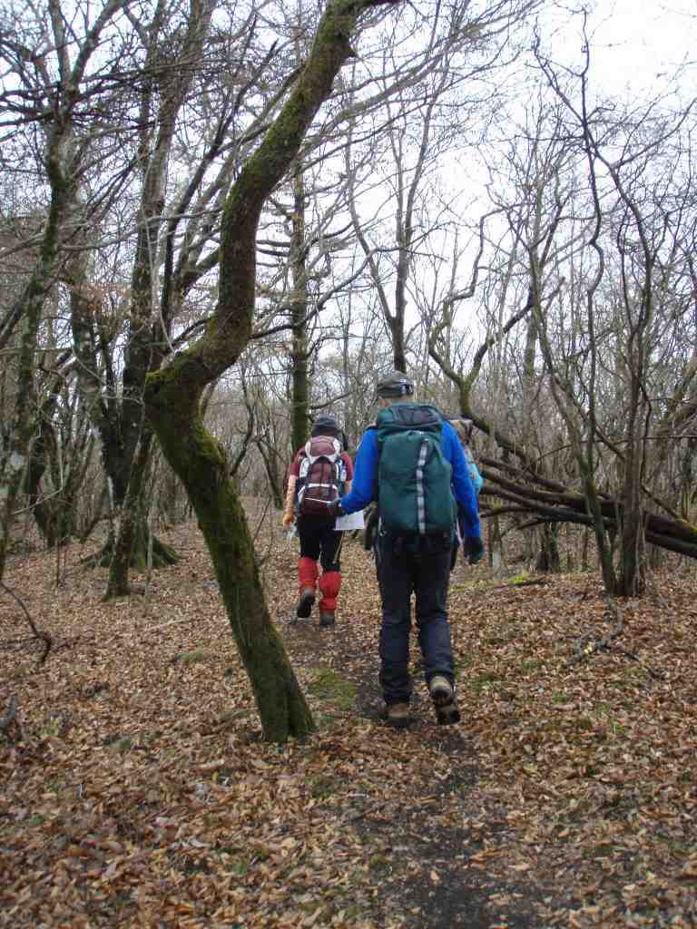 �����������̎R�����L�T