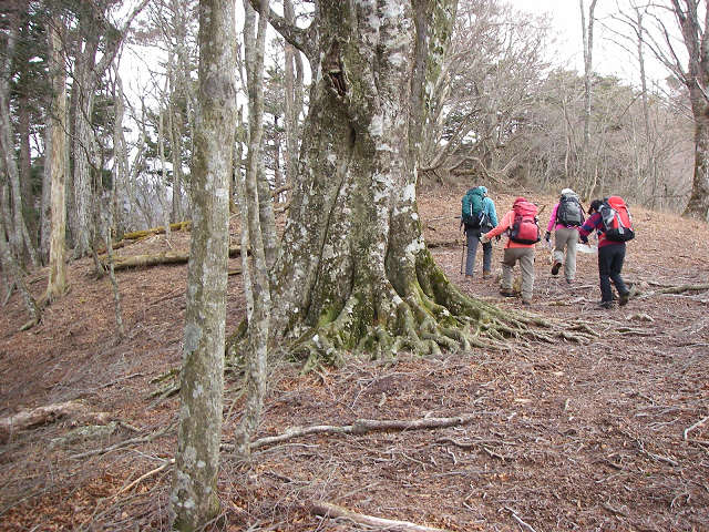 �����������̎R�����L�T