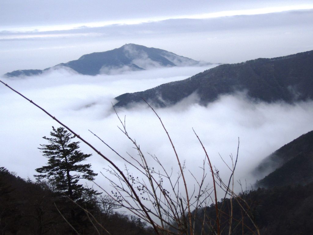 �����������̎R�����L�T