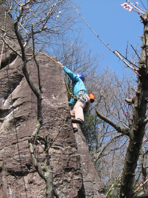 �����������̎R�����L�T