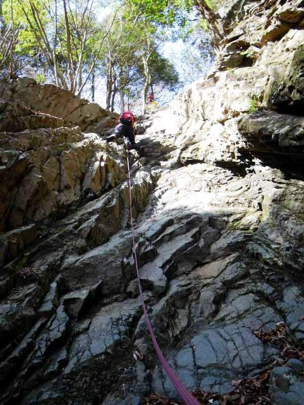 �����������̎R�����L�T