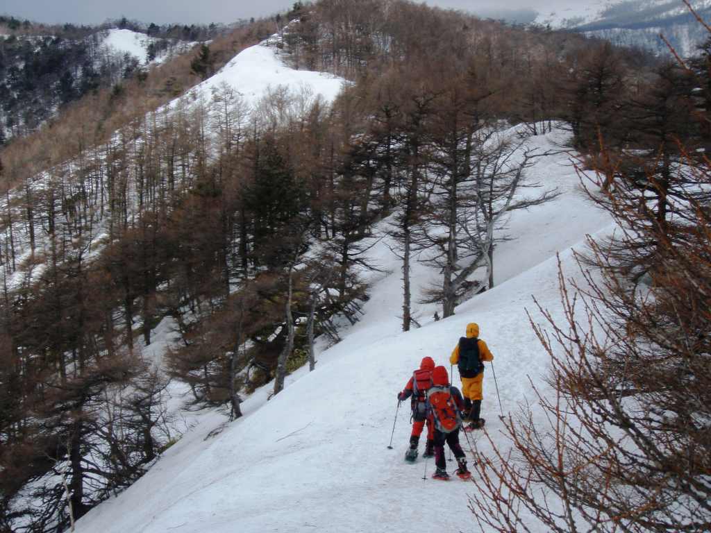 �����������̎R�����L�T