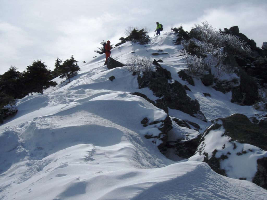 �����������̎R�����L�T