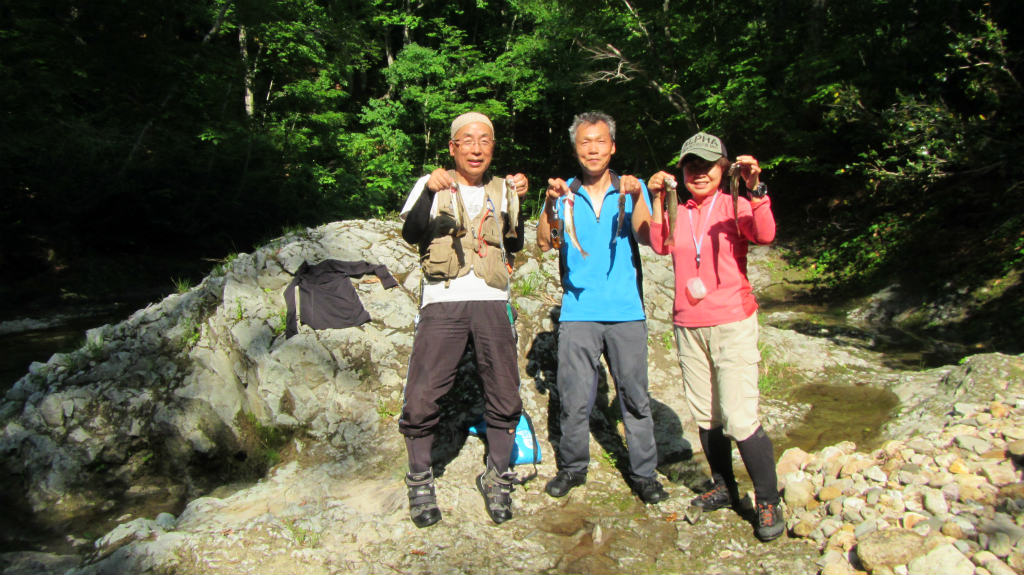 mikko�̎R�����L�U