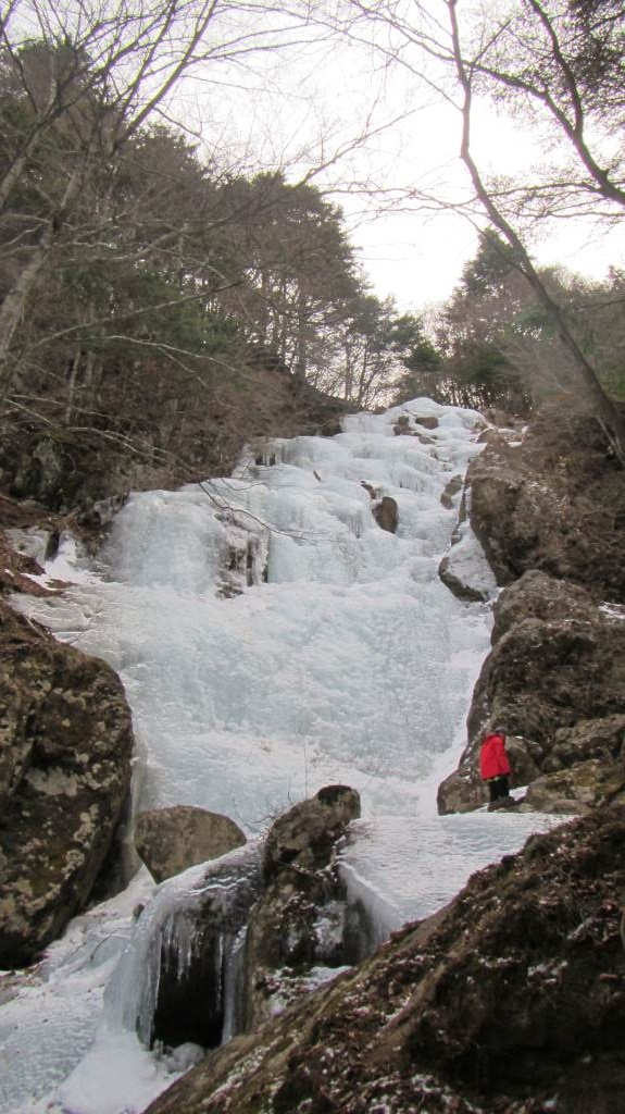 mikko�̎R�����L�U