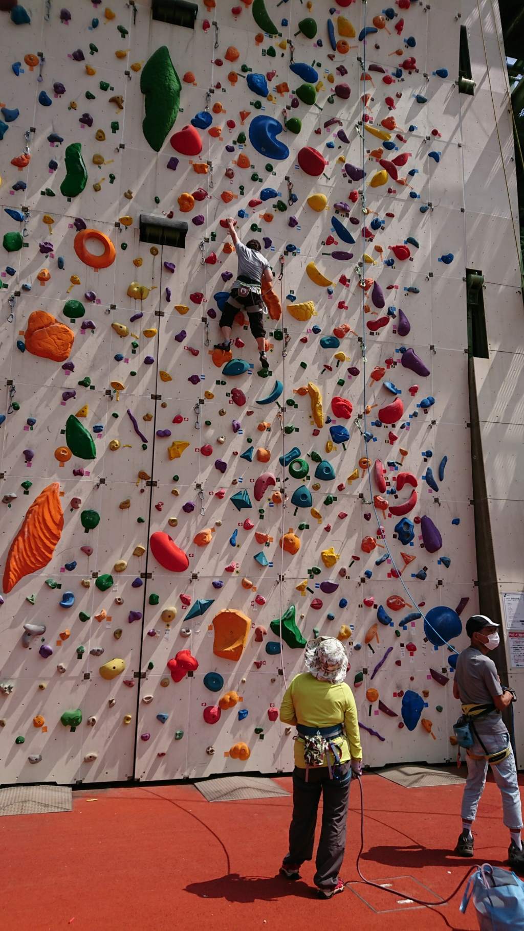 mikko�̎R�����L�U