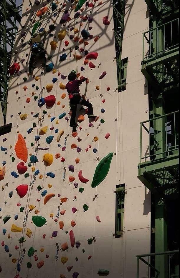 mikko�̎R�����L�U