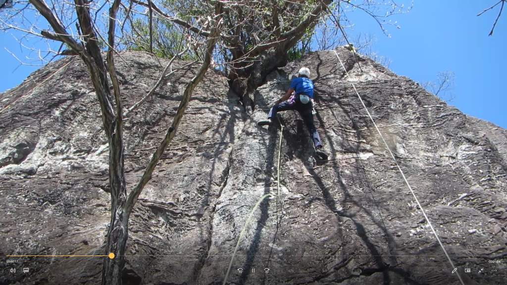 mikko�̎R�����L�U