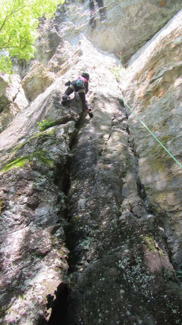 mikko�̎R�����L�U