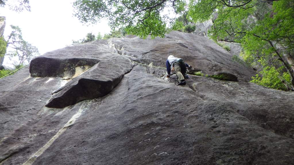 mikko�̎R�����L�U