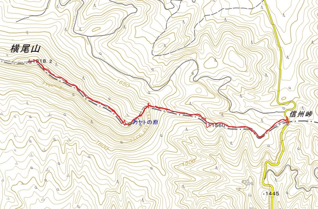 mikko�̎R�����L�U