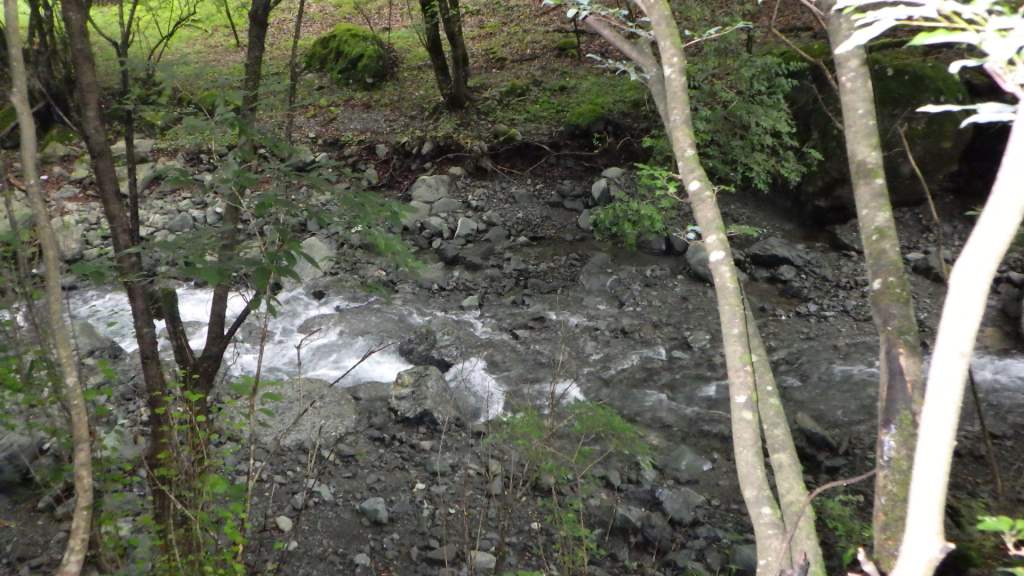 mikko�̎R�����L�U