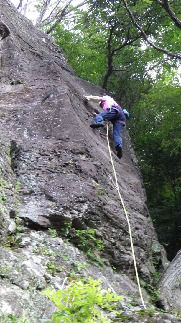 mikko�̎R�����L�U