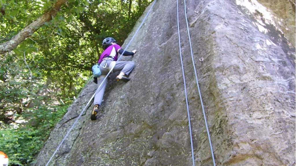 mikko�̎R�����L�U