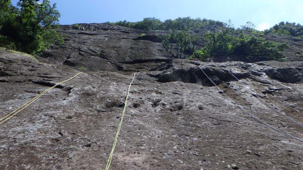 mikko�̎R�����L�U