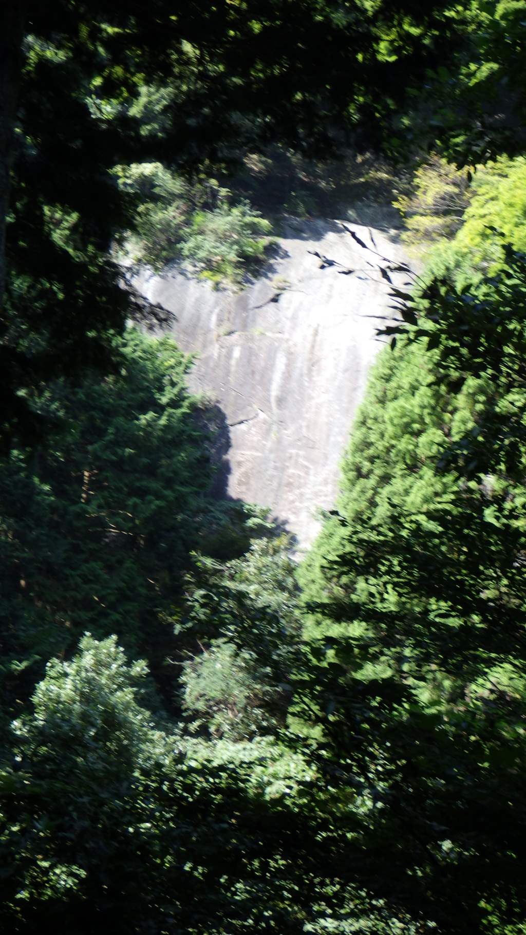 mikko�̎R�����L�U