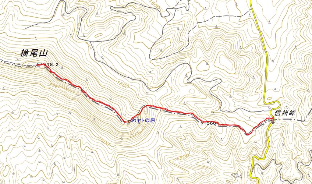 mikko�̎R�����L�U