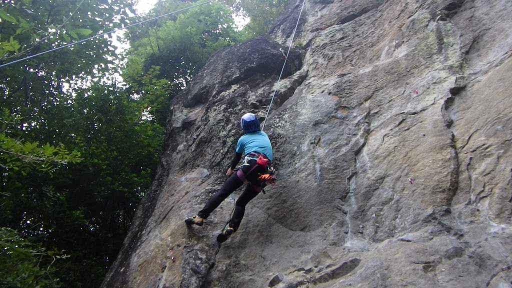 mikko�̎R�����L�U