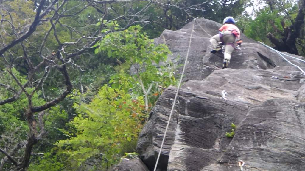 mikko�̎R�����L�U