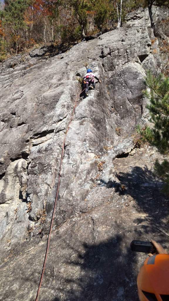 mikko�̎R�����L�U