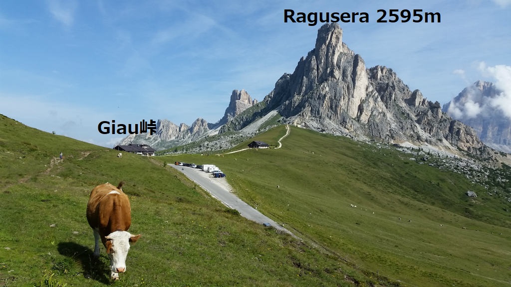 mikko�̎R�����L�U