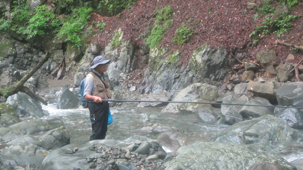 mikko�̎R�����L�U