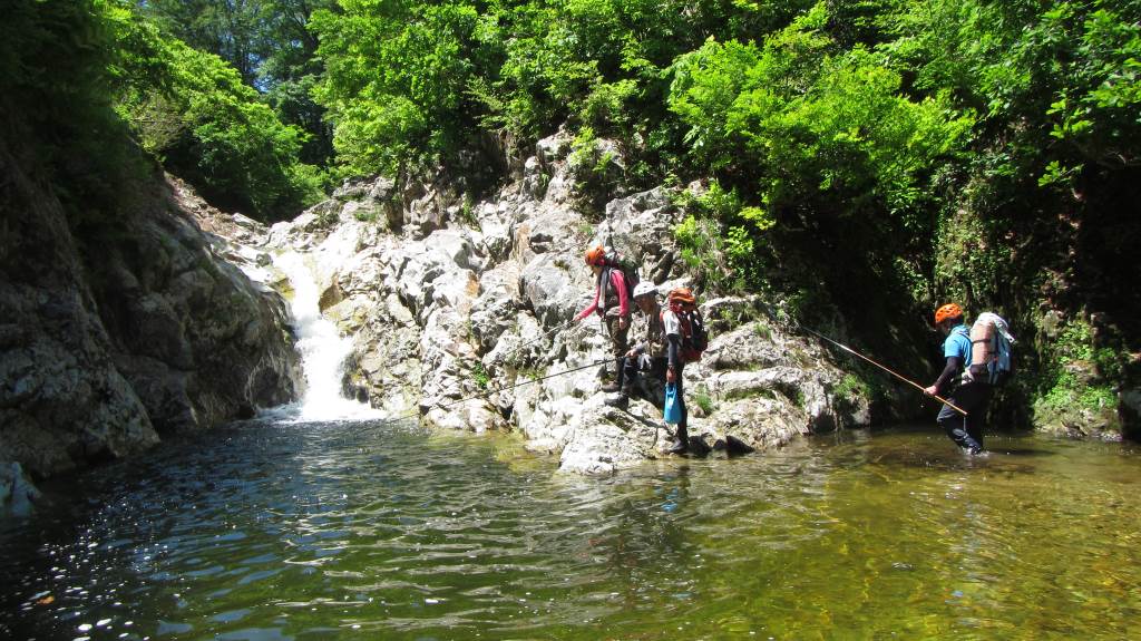 mikko�̎R�����L�U