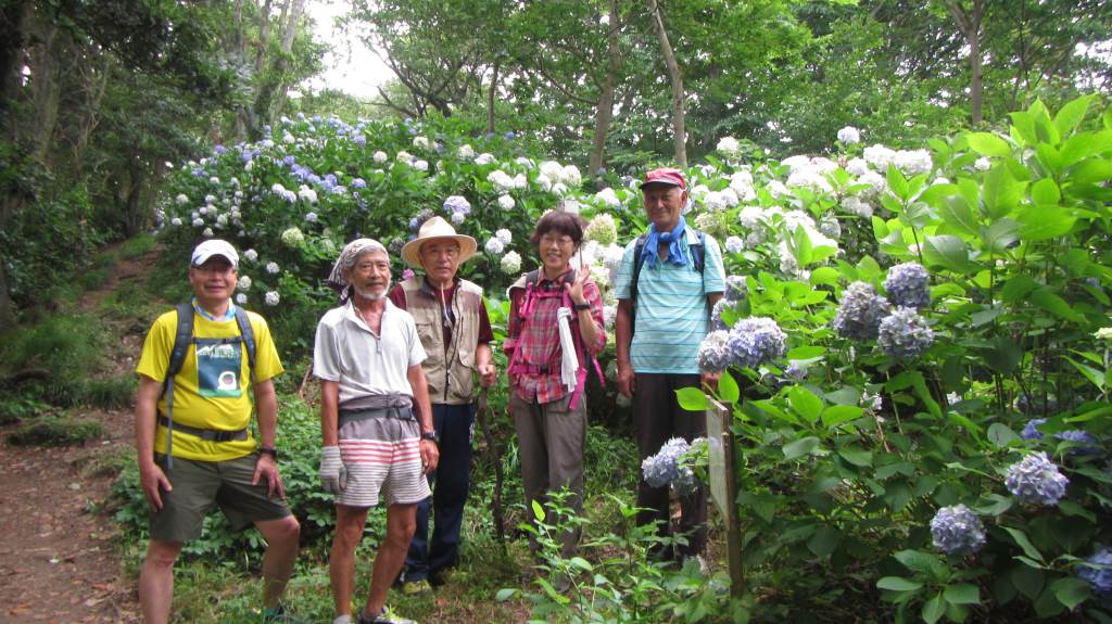 NET�R�x��h�g�`�k�t�h