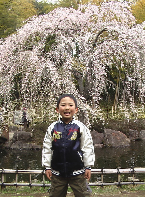 �C�܂܂ȁ@�݂����傤�̐����L