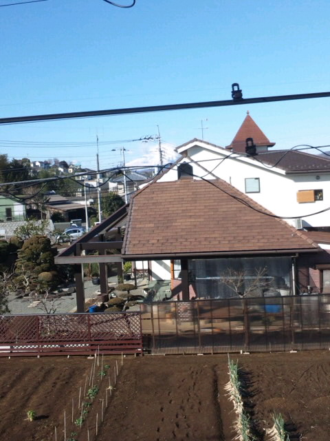 Misty Blog(�t�F�C�V�����G�X�e�T�����j