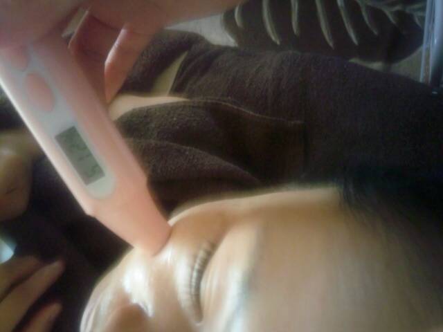 Misty Blog(�t�F�C�V�����G�X�e�T�����j