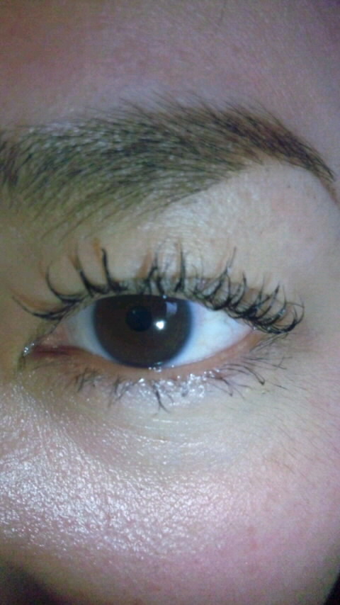 Misty Blog(�t�F�C�V�����G�X�e�T�����j