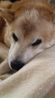 ����̕����ւ悤����