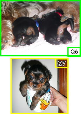 �������������॥��������������̂����H