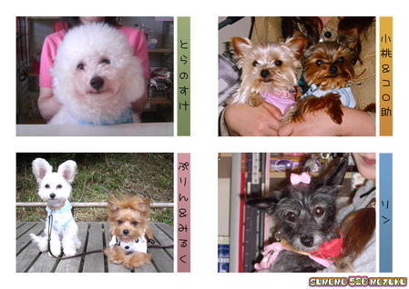 �������������॥��������������̂����H