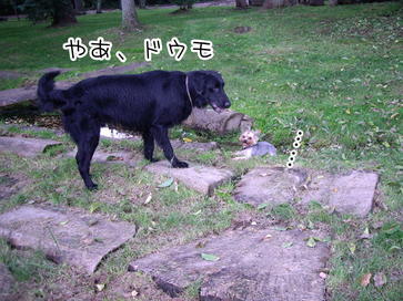 �������������॥��������������̂����H