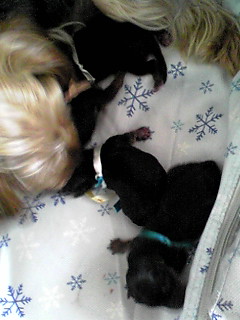 �������������॥��������������̂����H