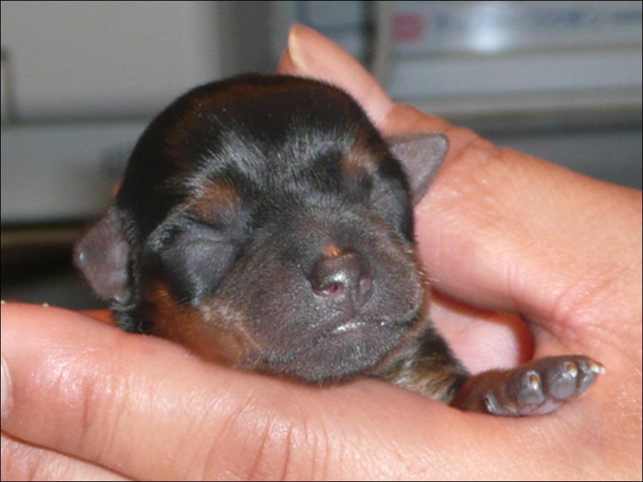 �������������॥��������������̂����H