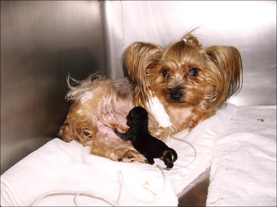 �������������॥��������������̂����H