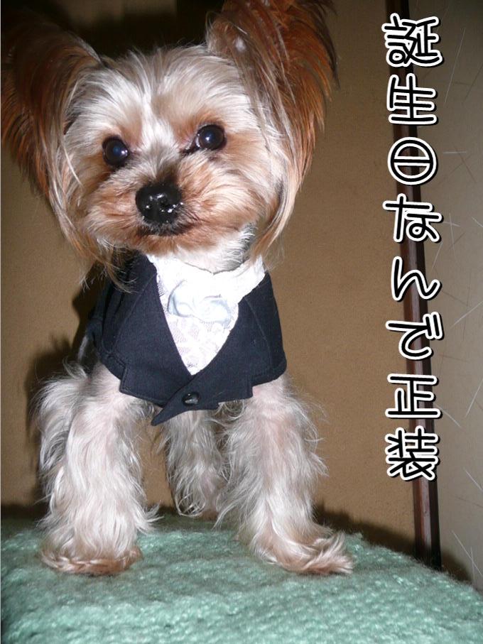 �������������॥��������������̂����H