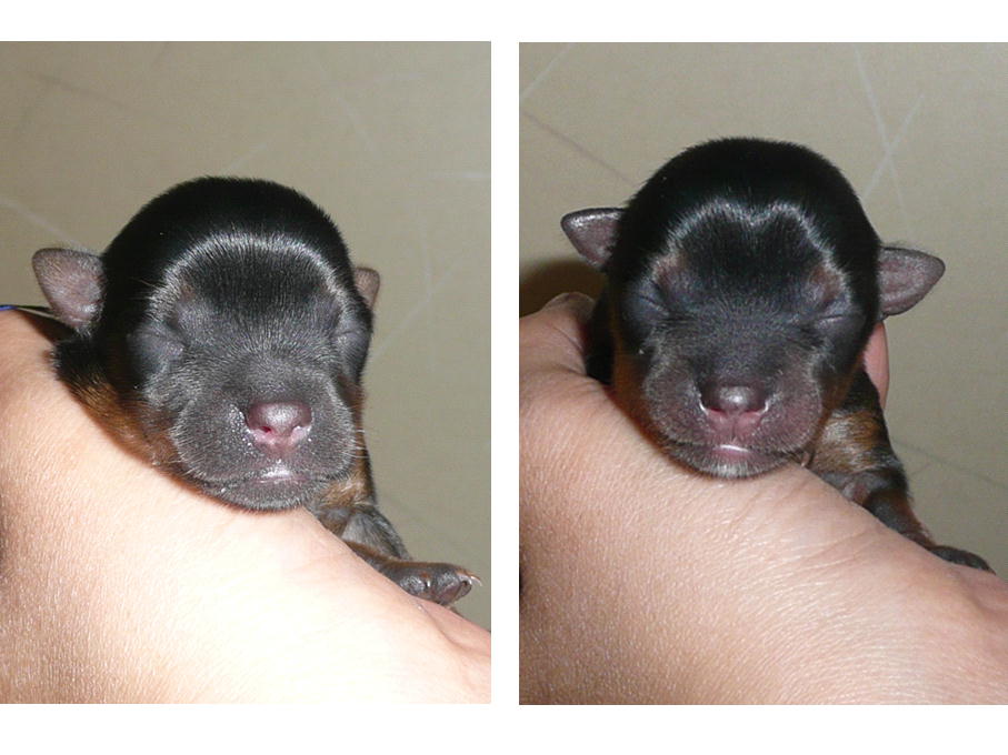 �������������॥��������������̂����H