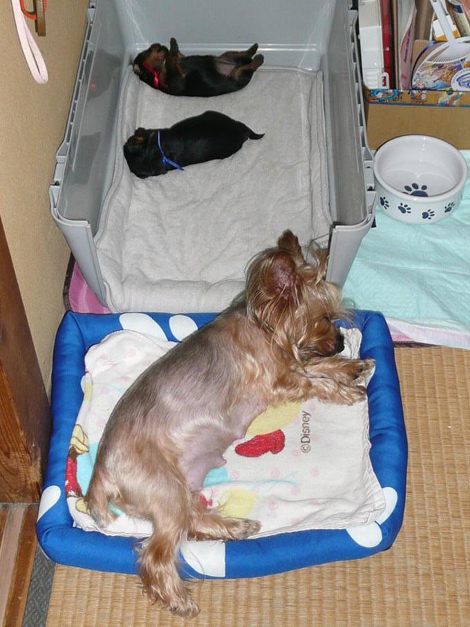 �������������॥��������������̂����H