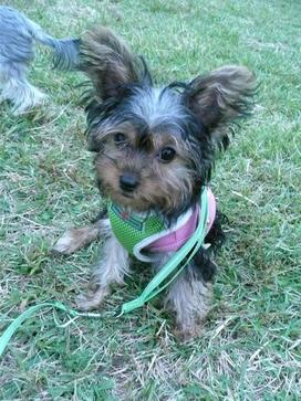 �������������॥��������������̂����H