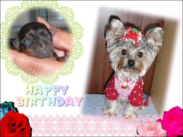 �������������॥��������������̂����H