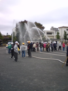 �s�����m�E���A�h�@�n��(�������j������(�j�V�L�^���I�j