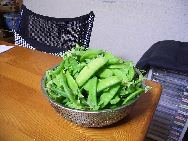 �s�����m�E���A�h�@�n��(�������j������(�j�V�L�^���I�j